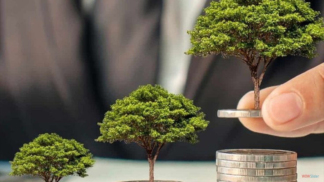 dividends