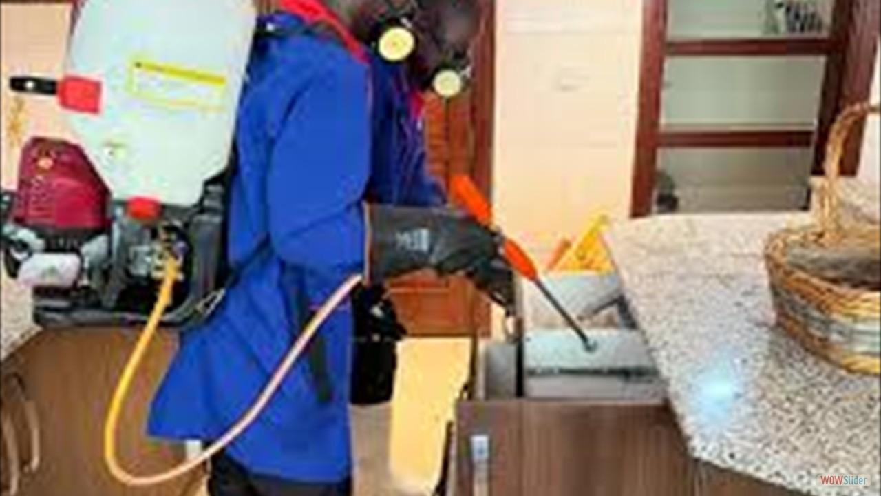 pest control